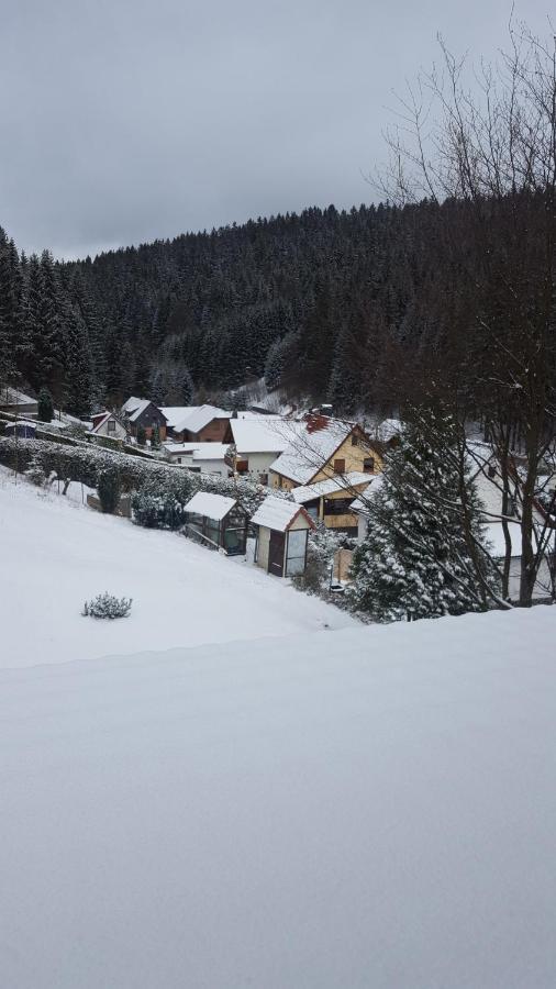 Monteurwohnung Aroba Fehrenbach 외부 사진