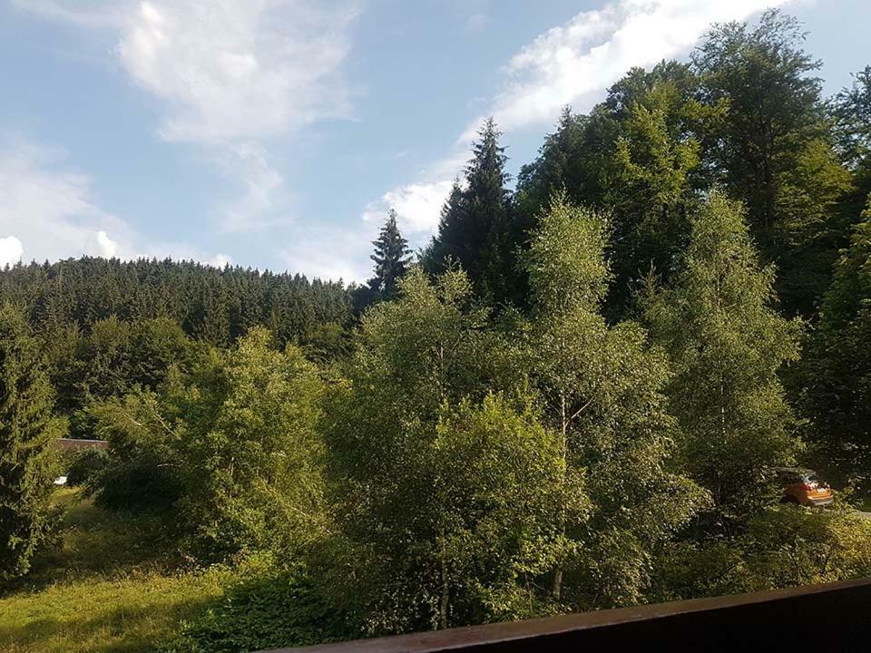 Monteurwohnung Aroba Fehrenbach 외부 사진