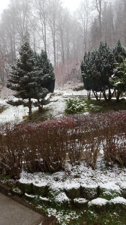 Monteurwohnung Aroba Fehrenbach 외부 사진